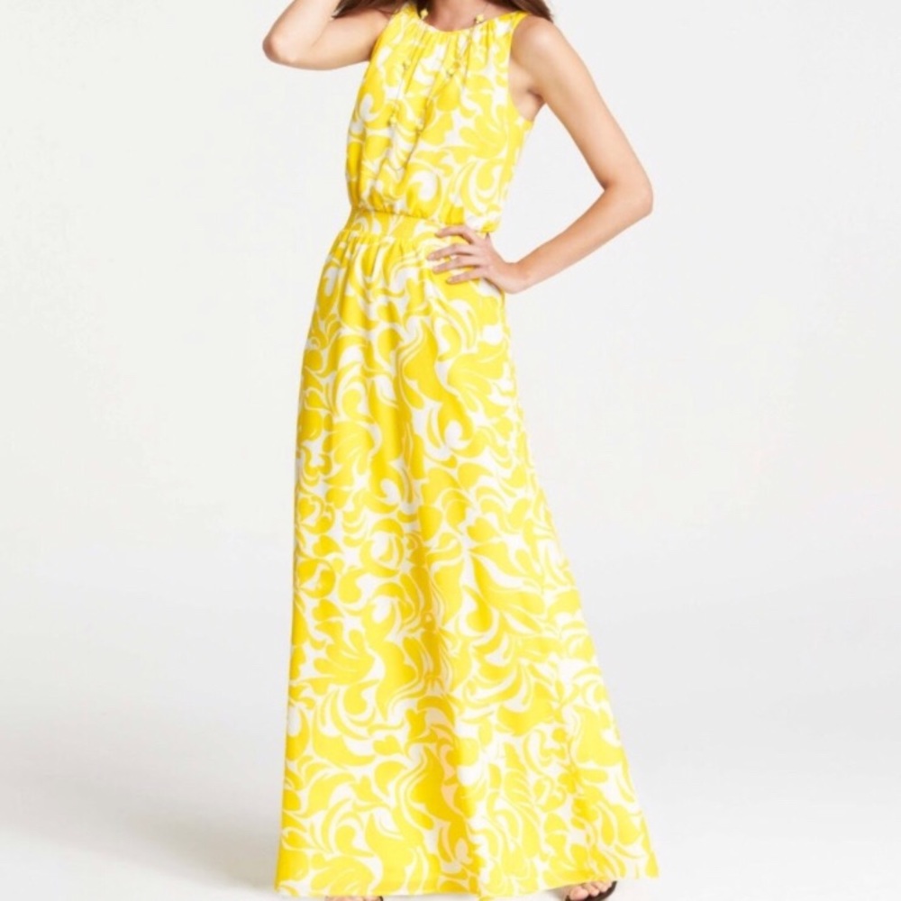 Ann Taylor Dress - Excellent condition